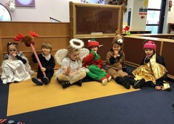 Sensory Nativity in Haul